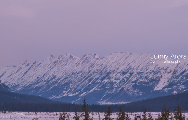 On Road – Jasper / Banff